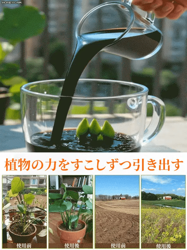 【ドイツ式】かけるだけで枯れ葉が復活!魔法の「爆根」再生液(土替え不要)