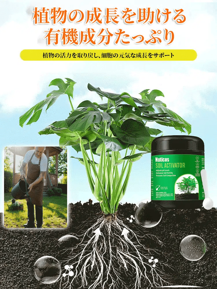 【ドイツ式】かけるだけで枯れ葉が復活！魔法の「爆根」再生液（土替え不要）