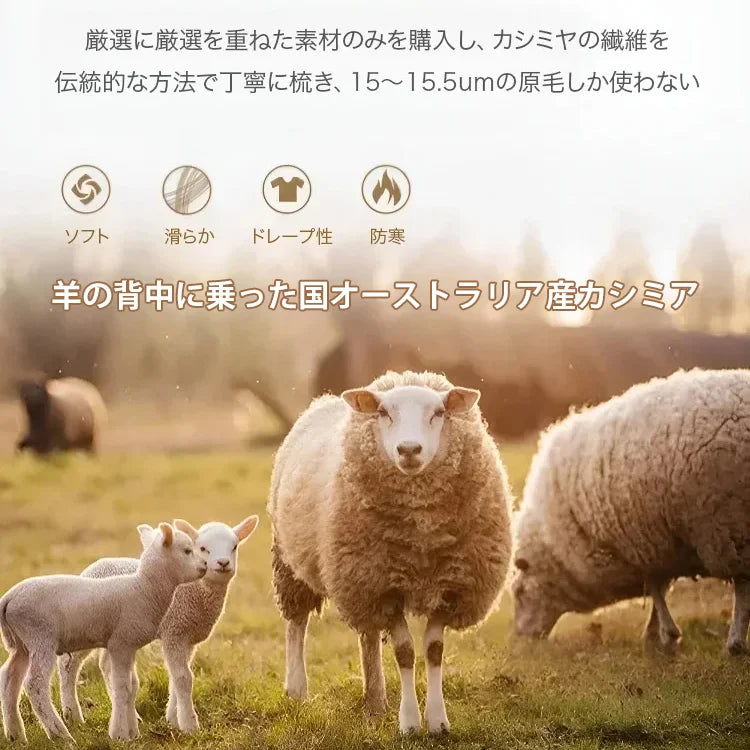 [楽天で最も人気のあるパンツ]ウエストゴム美脚ワイドパンツ